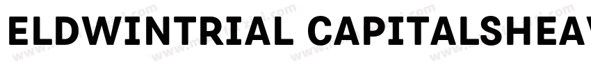 EldwinTrial CapitalsHeavyttf字体转换